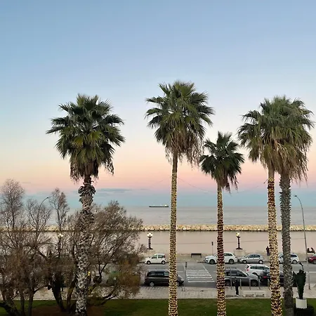 Merci Bari