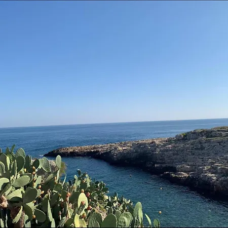 Merci * Bari